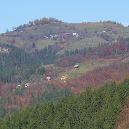 Kings Valley - Sunny Botesti Cîmpeni Buitenkant foto