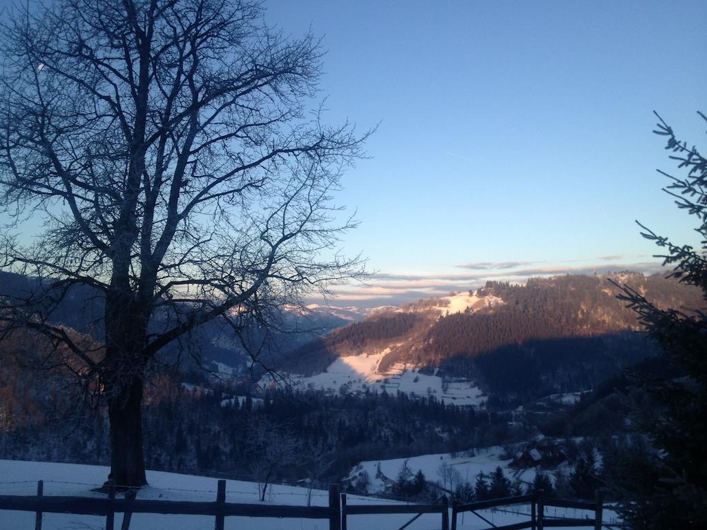 Kings Valley - Sunny Botesti Cîmpeni Buitenkant foto