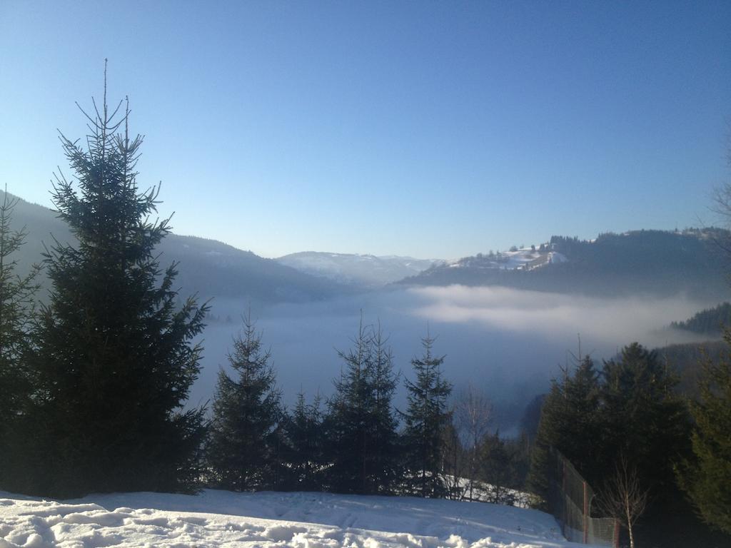 Kings Valley - Sunny Botesti Cîmpeni Buitenkant foto