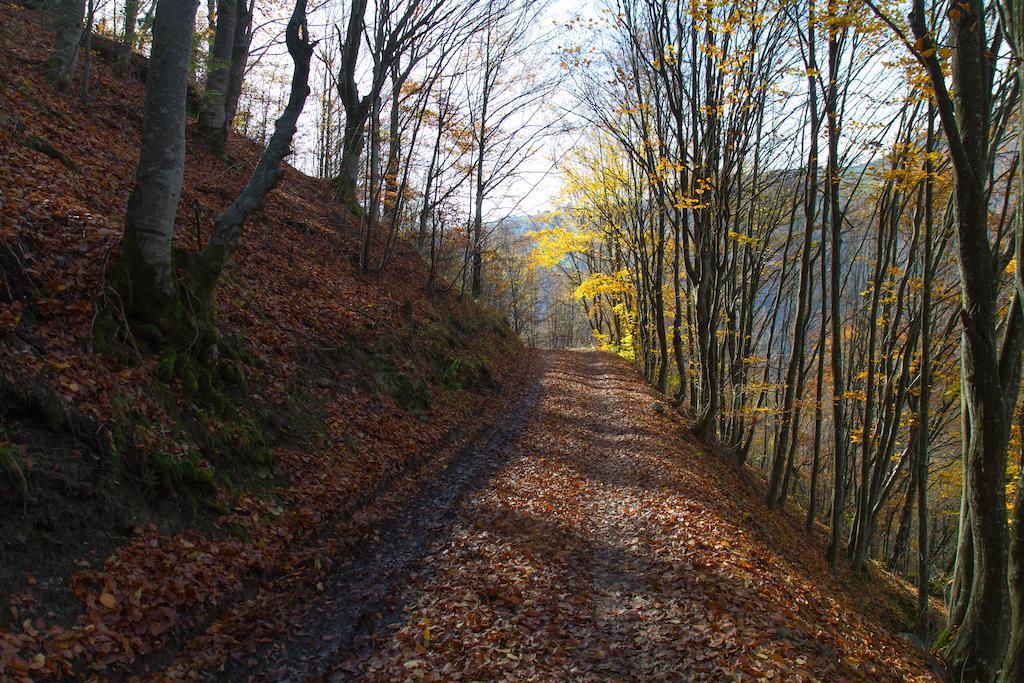 Kings Valley - Sunny Botesti Cîmpeni Buitenkant foto
