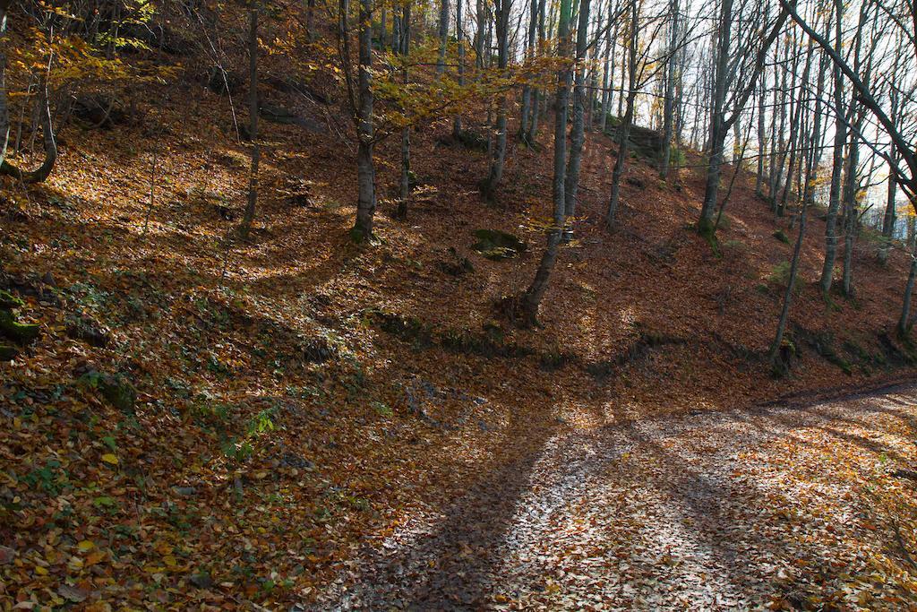 Kings Valley - Sunny Botesti Cîmpeni Buitenkant foto