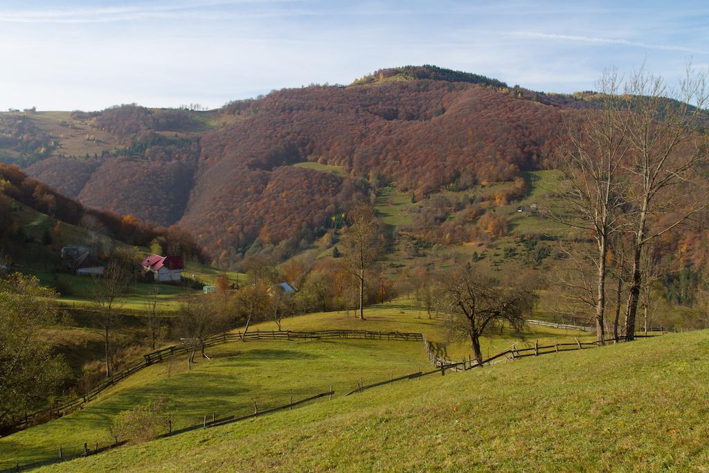 Kings Valley - Sunny Botesti Cîmpeni Buitenkant foto