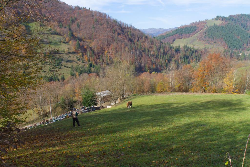 Kings Valley - Sunny Botesti Cîmpeni Buitenkant foto