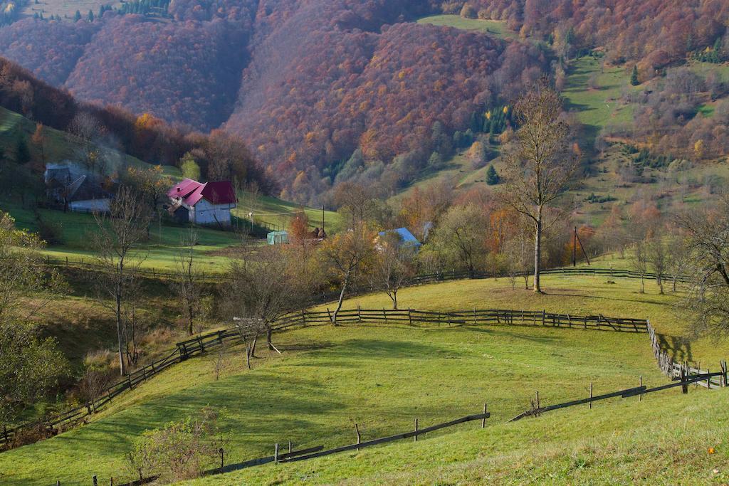 Kings Valley - Sunny Botesti Cîmpeni Buitenkant foto