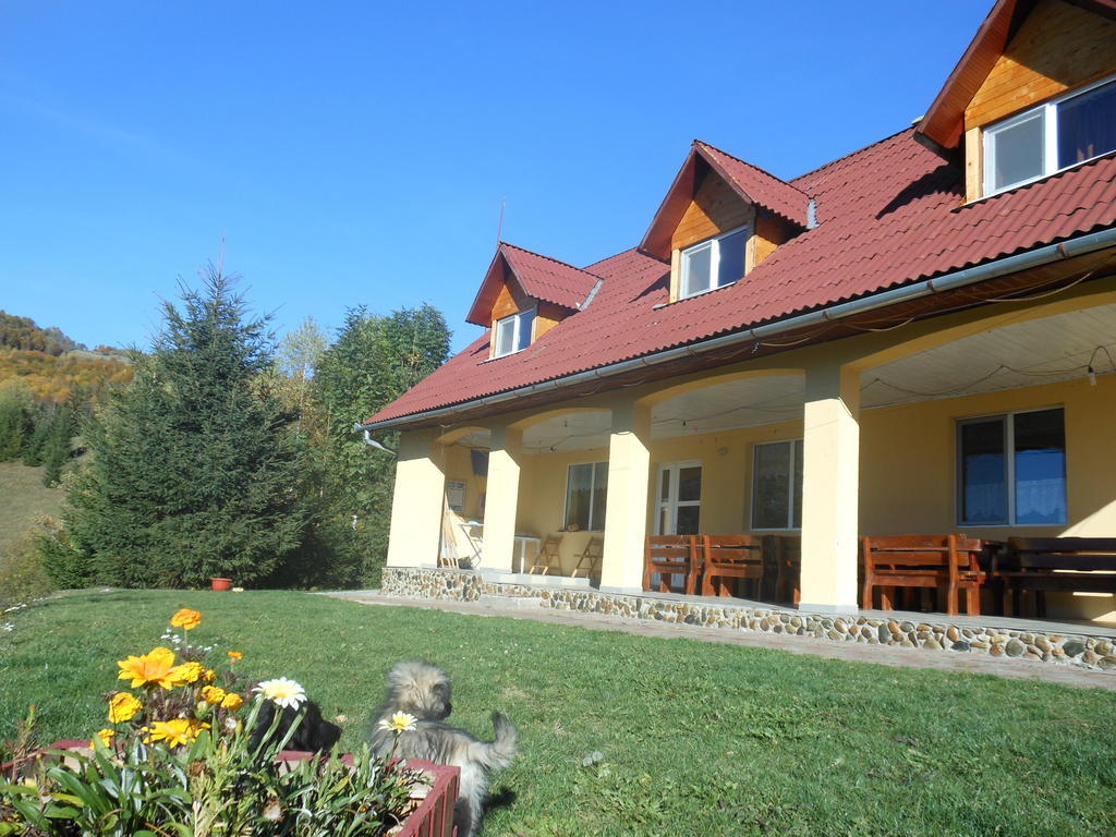Kings Valley - Sunny Botesti Cîmpeni Buitenkant foto