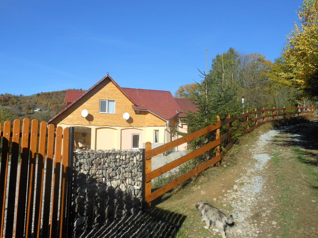 Kings Valley - Sunny Botesti Cîmpeni Buitenkant foto