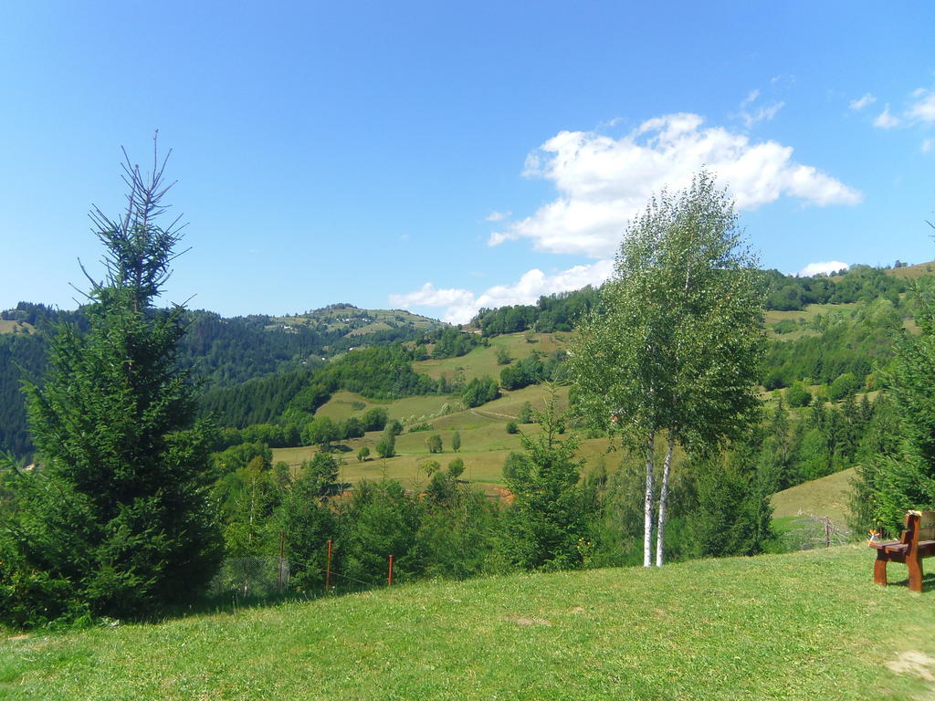 Kings Valley - Sunny Botesti Cîmpeni Buitenkant foto