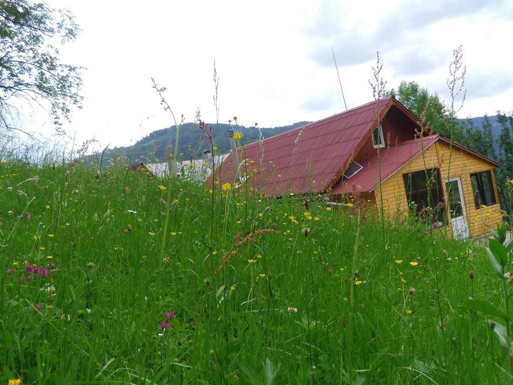 Kings Valley - Sunny Botesti Cîmpeni Buitenkant foto