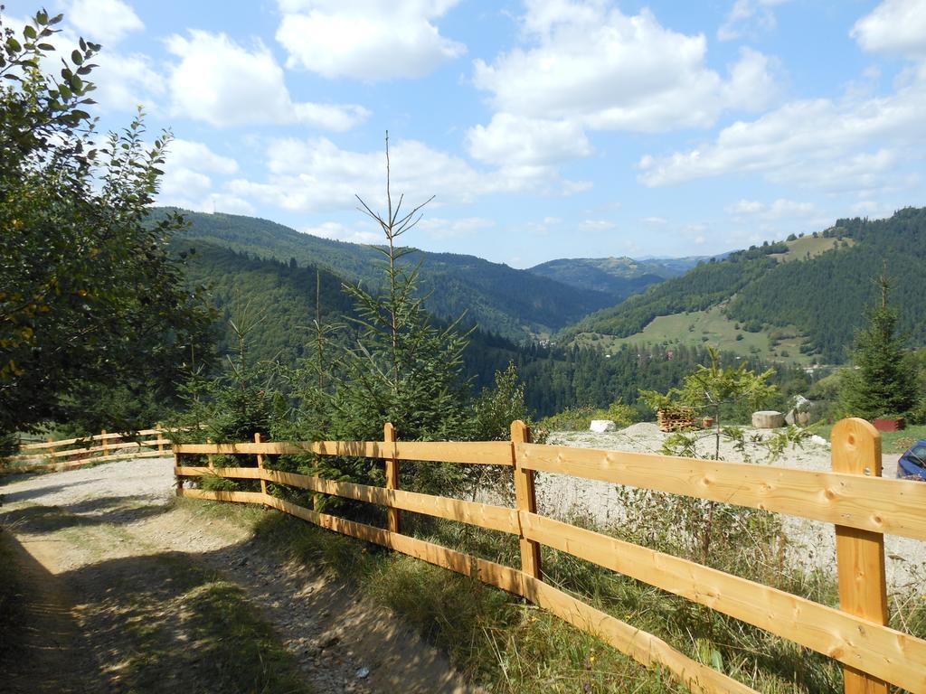 Kings Valley - Sunny Botesti Cîmpeni Buitenkant foto