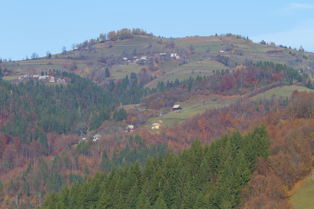 Kings Valley - Sunny Botesti Cîmpeni Buitenkant foto